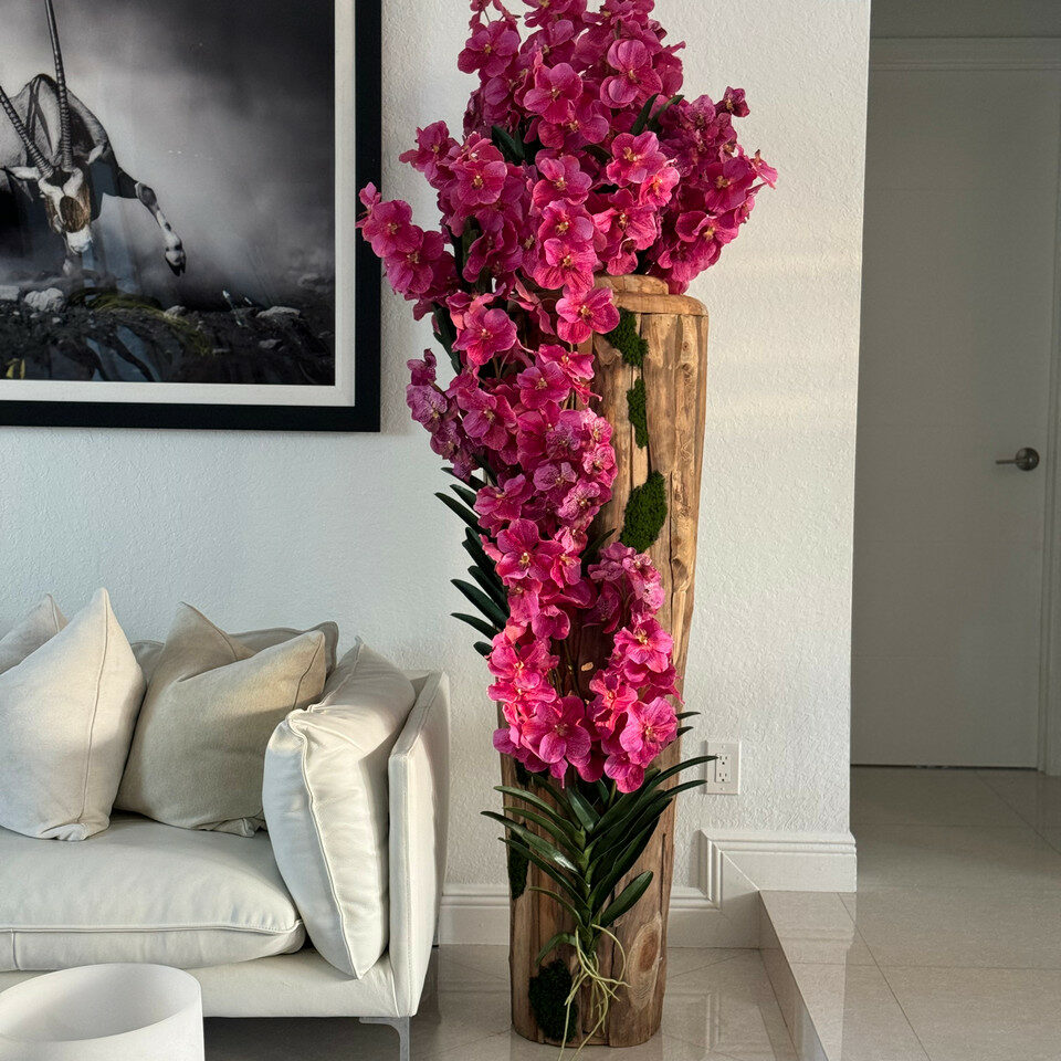 Orchidées Vanda roses