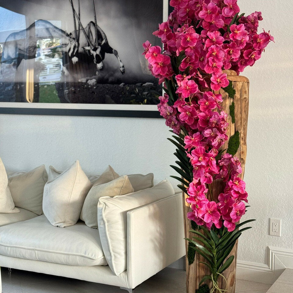 Orchidées Vanda roses