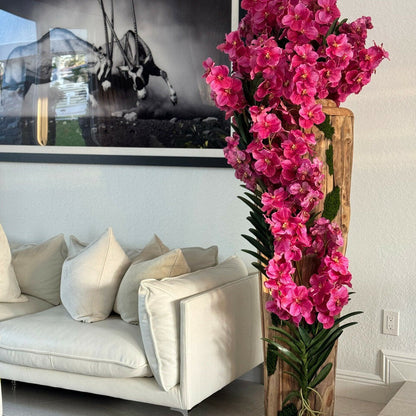 Orchidées Vanda roses