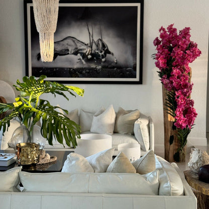 Orchidées Vanda roses