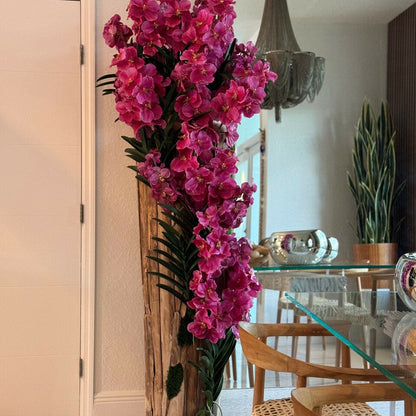 Orchidées Vanda roses