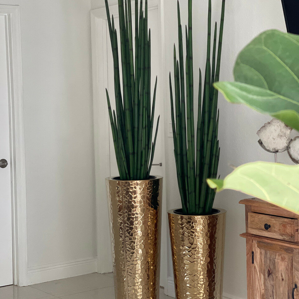 Grande Fleur d'Herbe Serpent