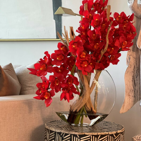 Rote Cymbidium-Orchideen
