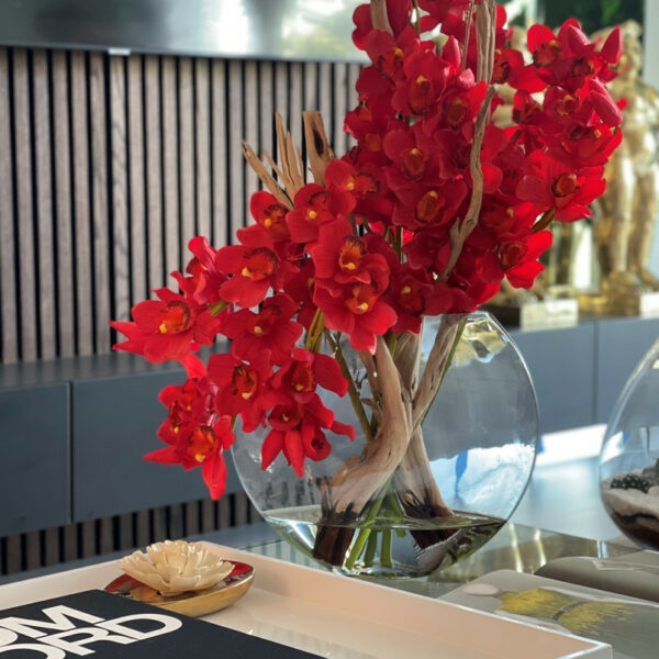 Rote Cymbidium-Orchideen