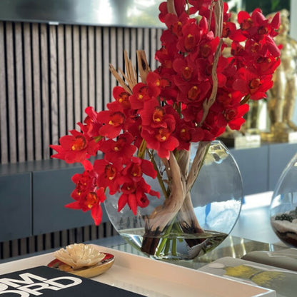 Rote Cymbidium-Orchideen