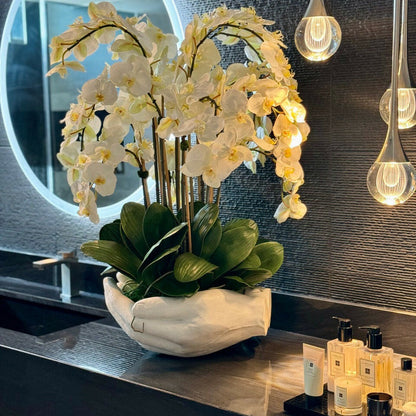 Bouquet d'orchidées Phalaenopsis blanches