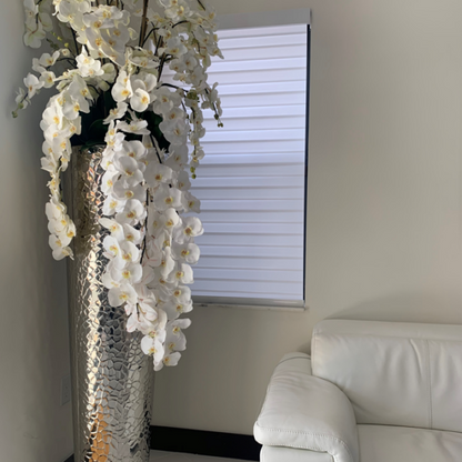 Orchidées Phalaenopsis en Cascade